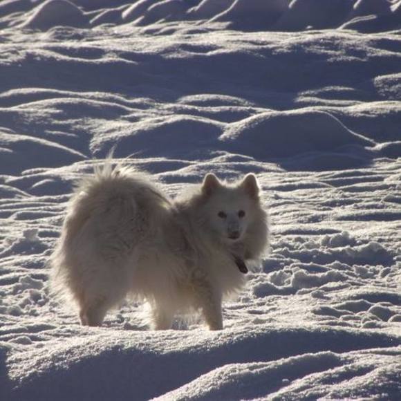 Meet your Posher, Kim - Picture 1 of 1